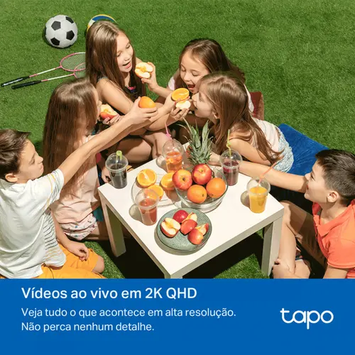 Câmera de segurança TP-Link TAPO C520WS Wi-Fi Pan/Tilt para Ambientes Externos