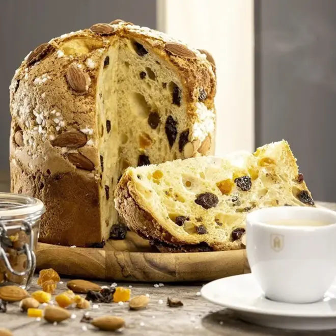 Panettone Havanna Pan Dulce Genovês com Frutas 500G 14946832