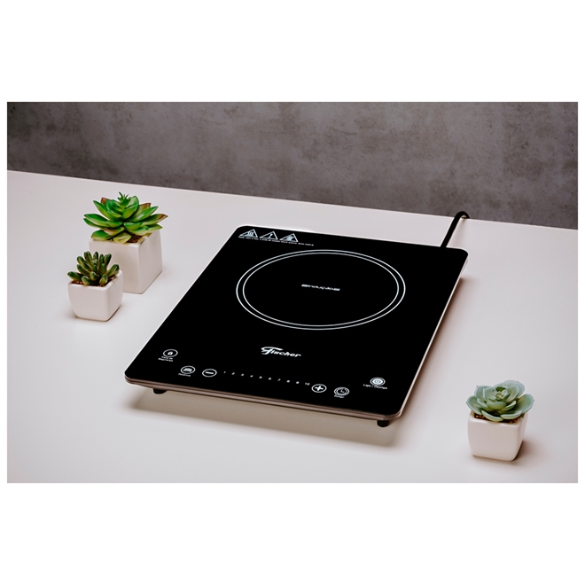 Cooktop 1 Boca Fischer 1Q Indução Preto 127V