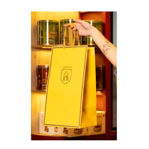 Sacola de Papel Havanna Tamanho G